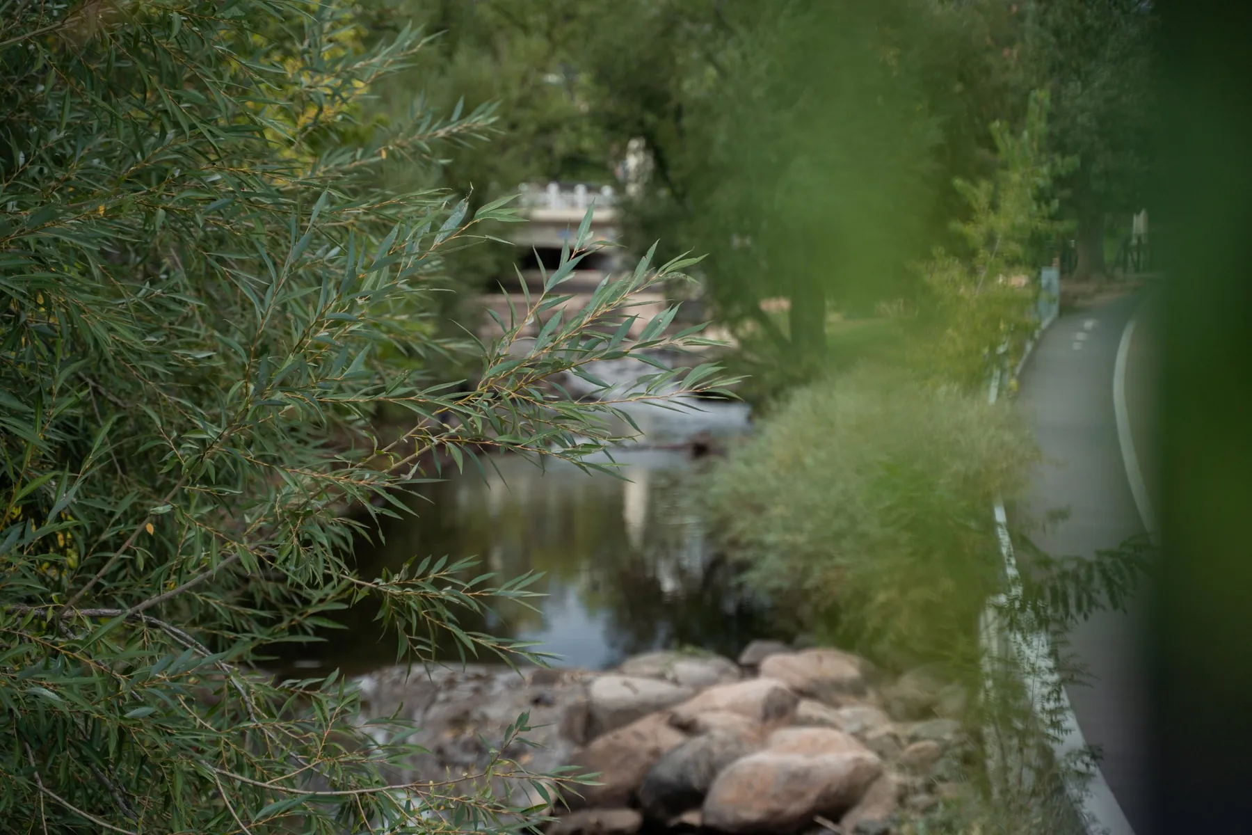 A community landscape
