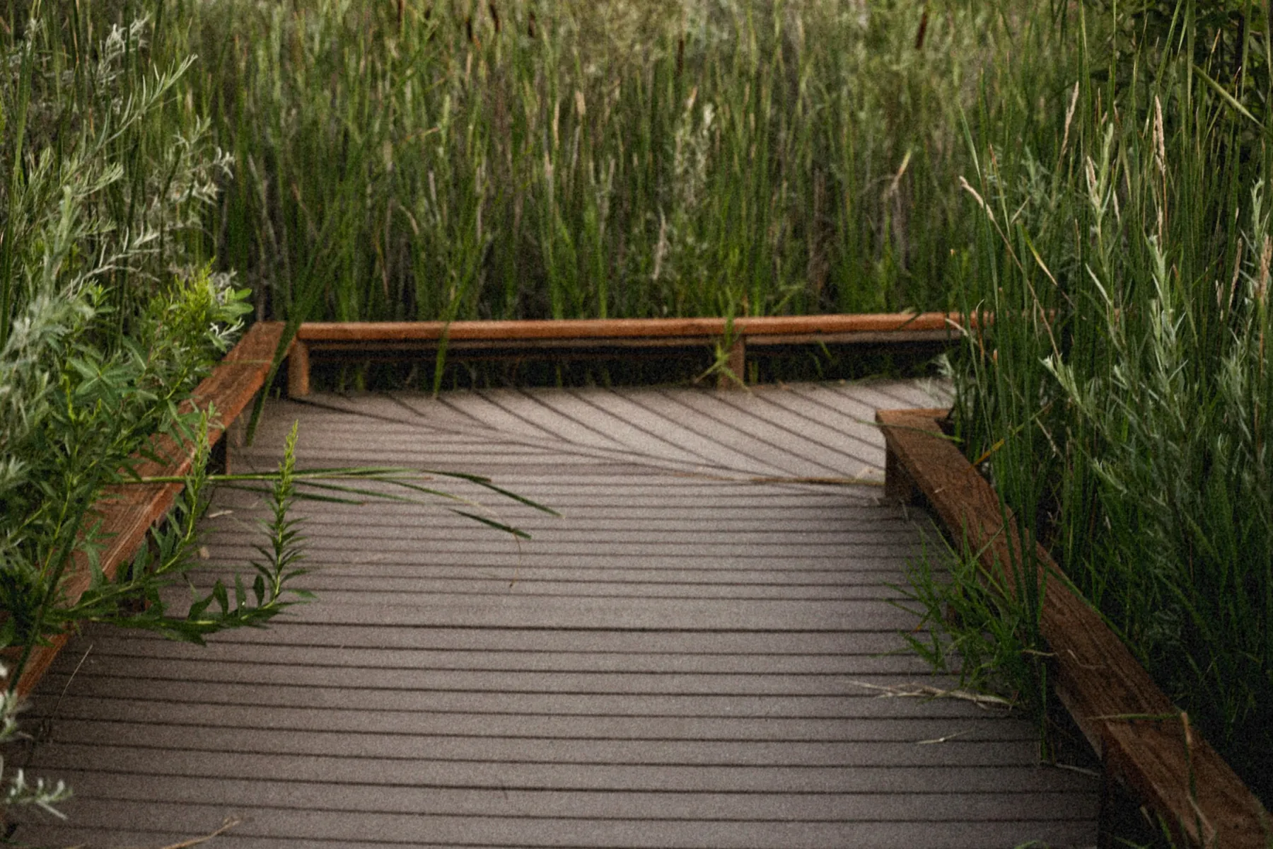 A landscape represented in the interactive map