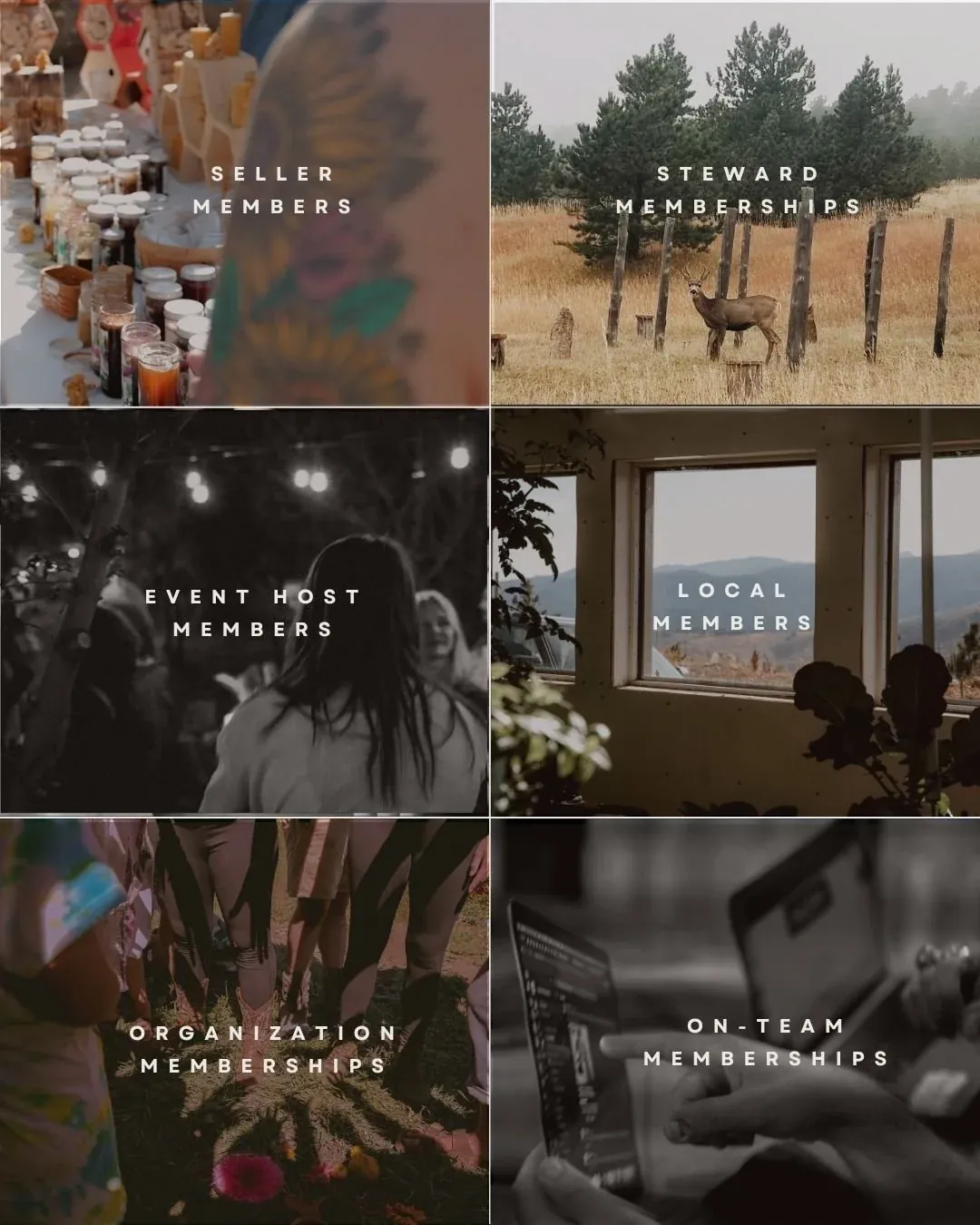 A collage of Rivr membership types