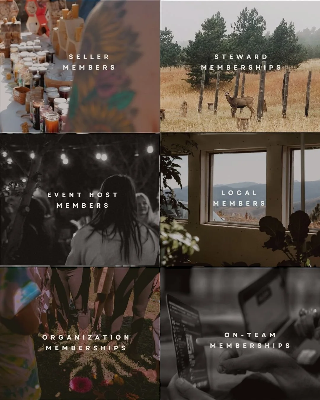 A collage of Rivr membership types