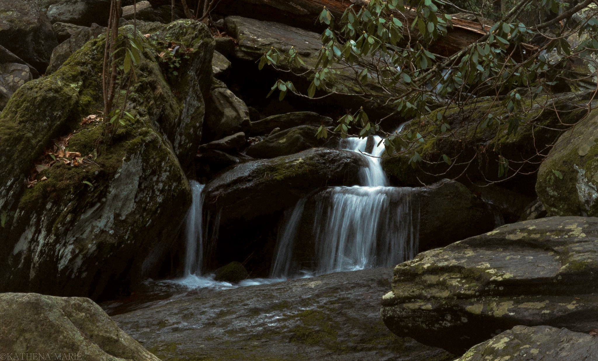 Stewardship in the local landscape