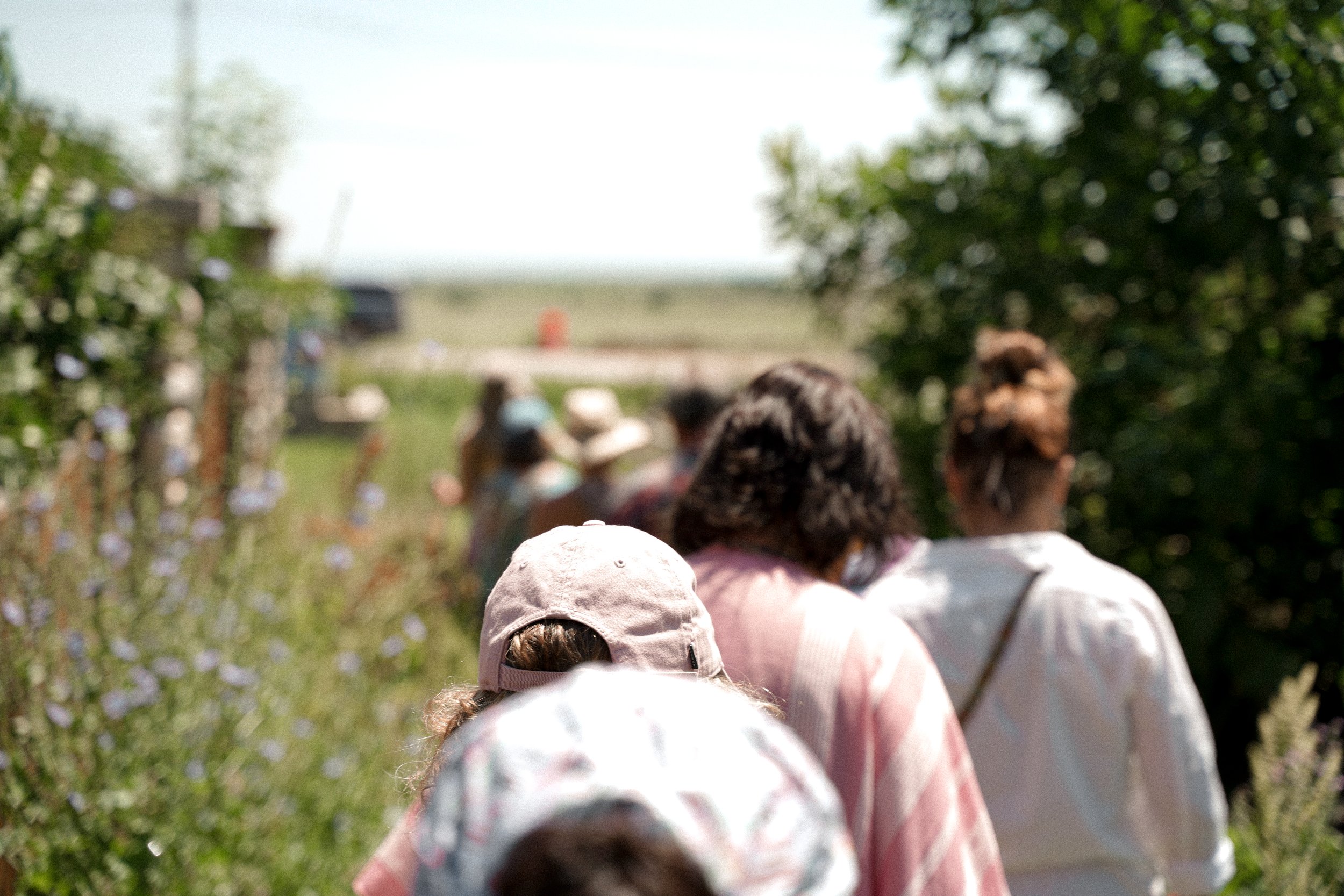 People collaborating in community